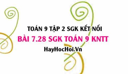 Bài 7.28 SGK Toán 9 tập 2 Kết nối tri thức